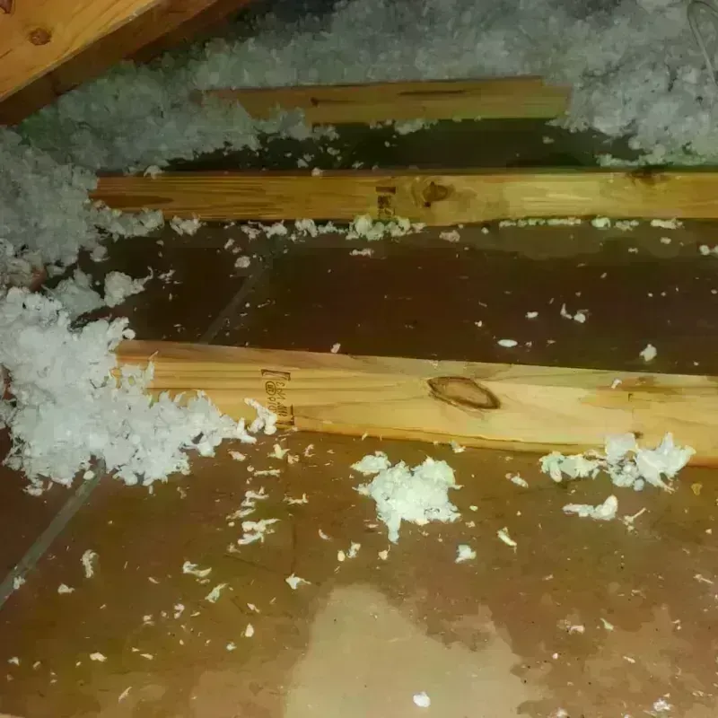 Attic Water Damage in Hawley, MN