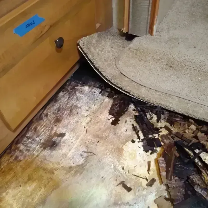 Wood Floor Water Damage in Hawley, MN